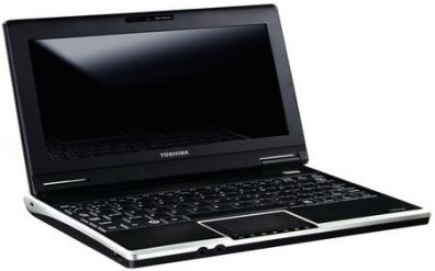 Toshiba NB100