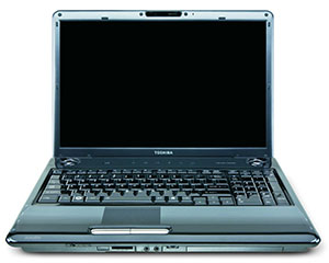 Toshiba Satellite P305-S8823 17